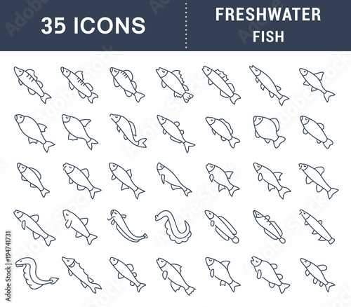 Set Vector Line Icons of Freshwater Fish
