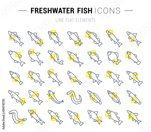 Set Vector Line Icons of Freshwater Fish