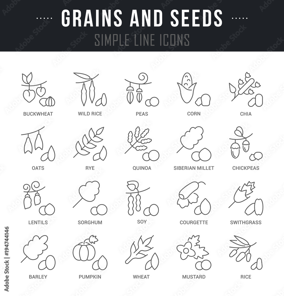 Set Vector Line Icons of Grains and Seeds. Set Vector Line Icons of Grains and Seeds.