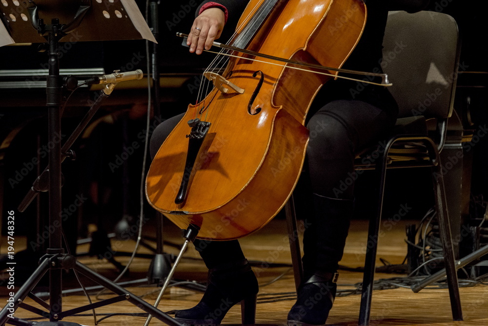 Fototapeta woman plays cello