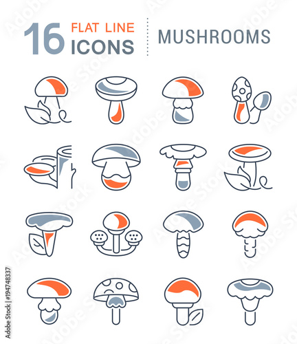 Set Vector Line Icons of Mushrooms.