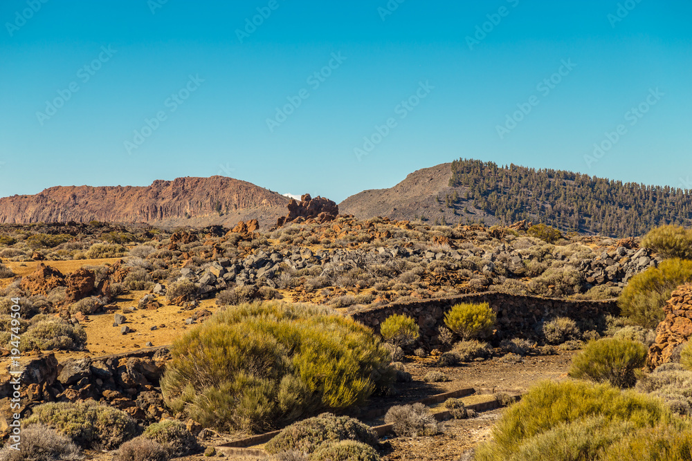 Teide National Park, Tenerife, Canary Islands.  Beautiful sunny weather in the mountains. mountain view above the clouds