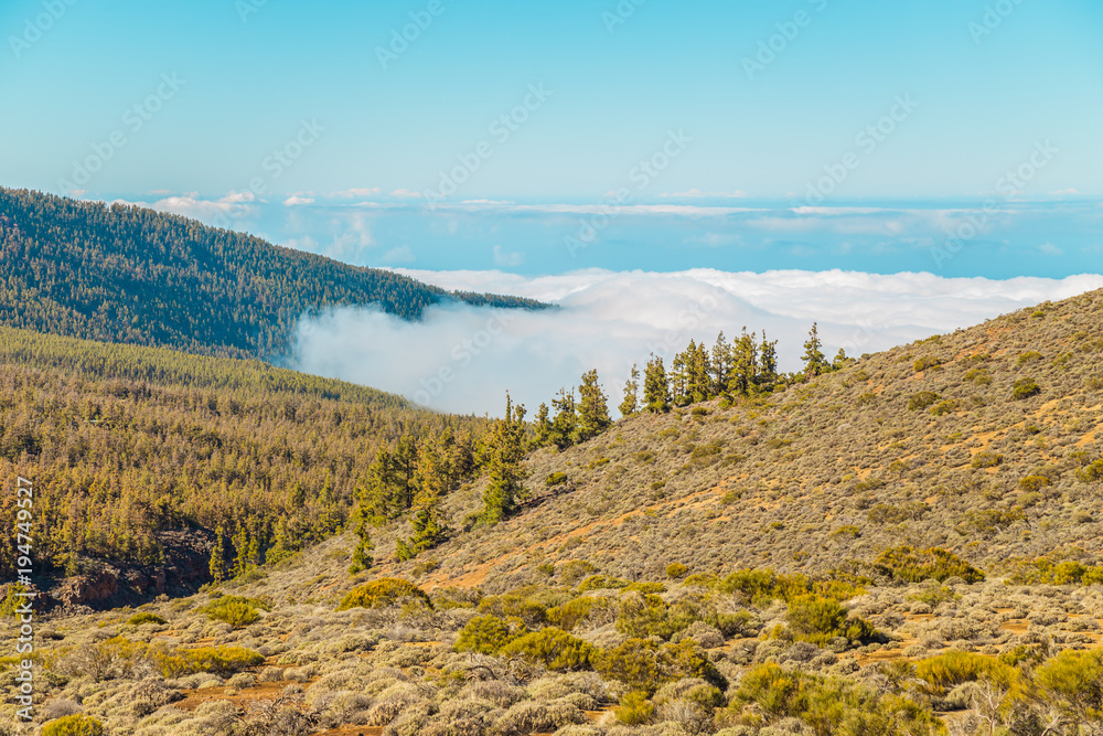 Teide National Park, Tenerife, Canary Islands.  Beautiful sunny weather in the mountains. mountain view above the clouds