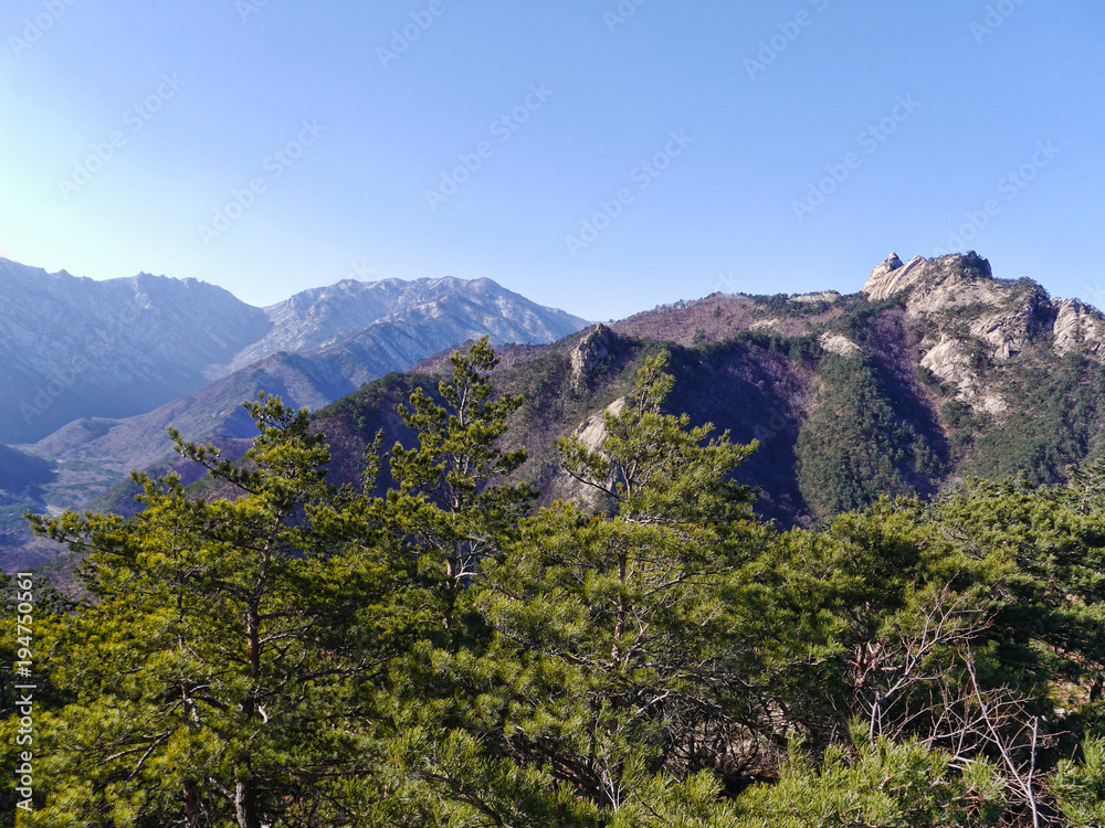 Beautiful mountains Seoraksan and coniferous forest. South Korea