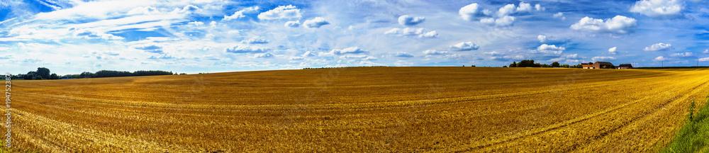 Panorama of harvested wheat fields and dramatic blue sky in July, Belgium