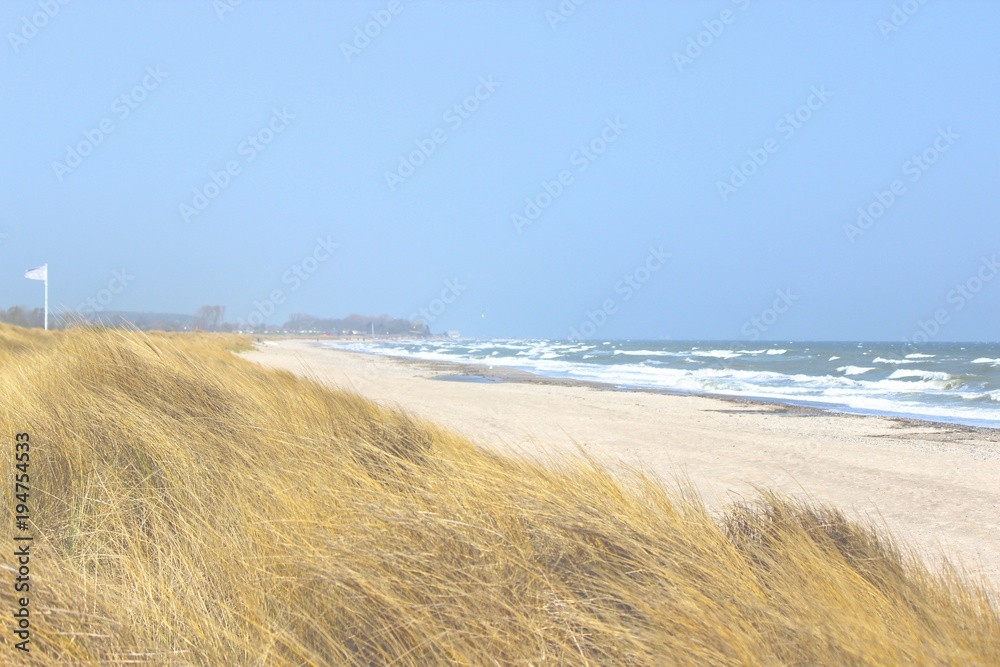 Strand in Dünen