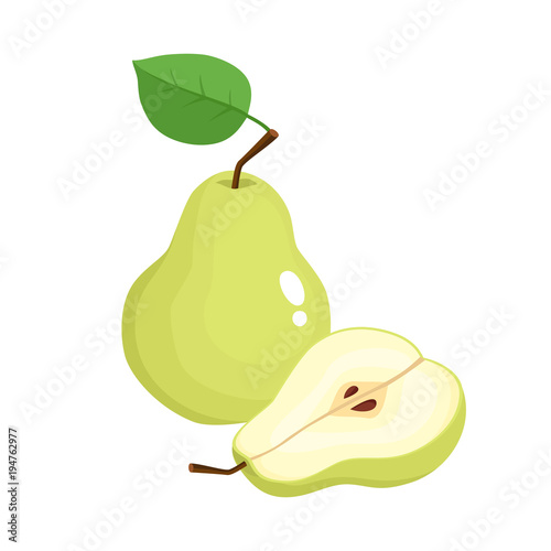 Bright vector illustration of juicy pears isolated on white.