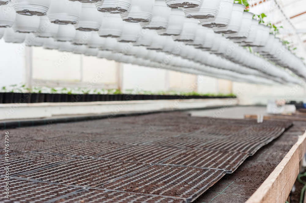 Plastic tray with soil