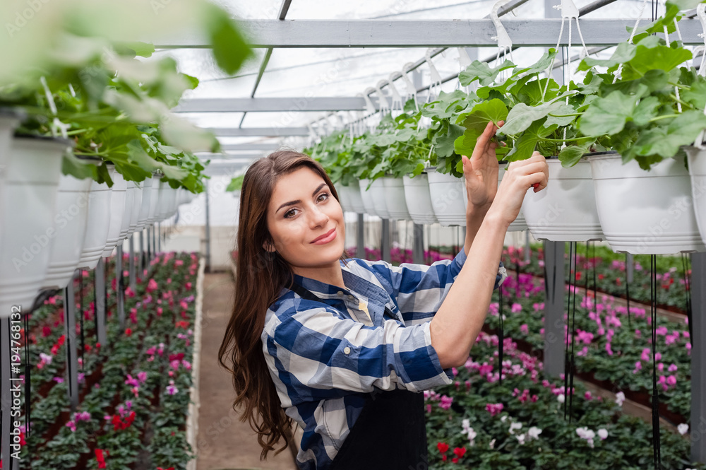 Florists woman working with flowers in a greenhouse, smiling at camera and holding scissors Florists woman working with flowers in a greenhouse, smiling at camera and holding scissors