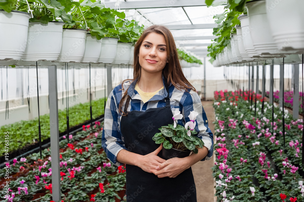 Florists woman working with flowers in a greenhouse holding a flower pot