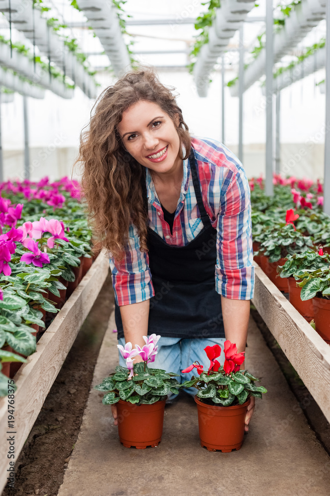 Florists woman working with flowers in a greenhouse. Florists woman working with flowers in a greenhouse.
