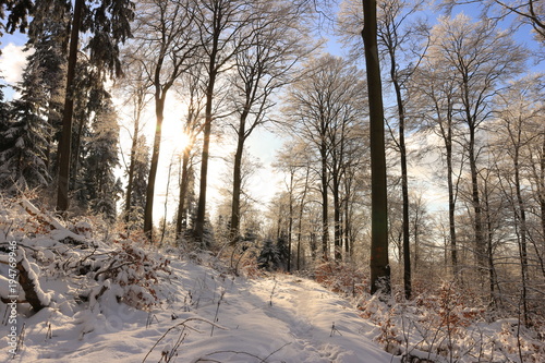 Sonnenschein im winterlichen Kellerwald