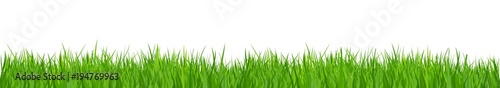 Green grass, nature background - for stock