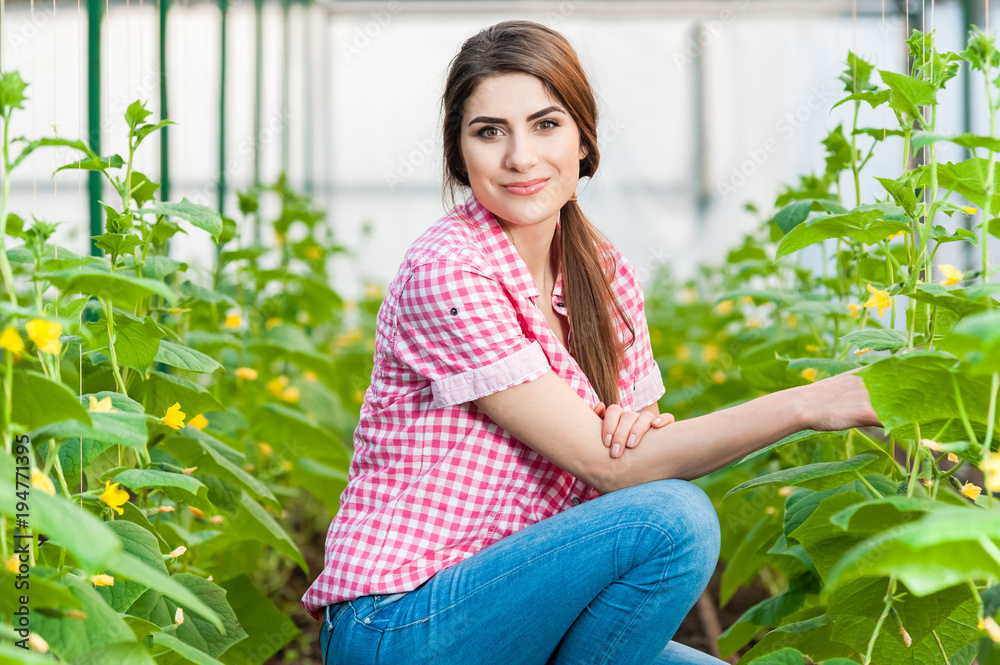 Beautiful young woman gardening and smiling at camera in a greenhouse with cucumber plants Beautiful young woman gardening and smiling at camera in a greenhouse with cucumber plants
