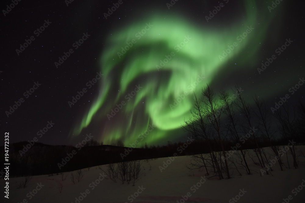 Nordlicht Norwegen