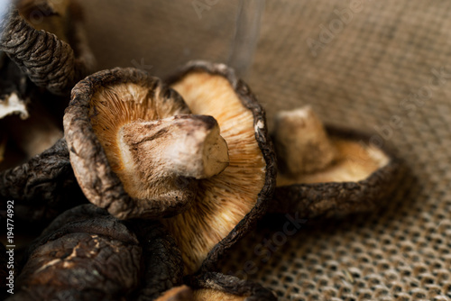Dry mushrooms on burlap, close-up. © Yury
