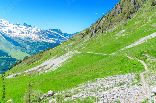 Swiss summer alps. Summer meadows and pastures of the ridge. Landscape of the Swiss Alps, Engelberg Resort