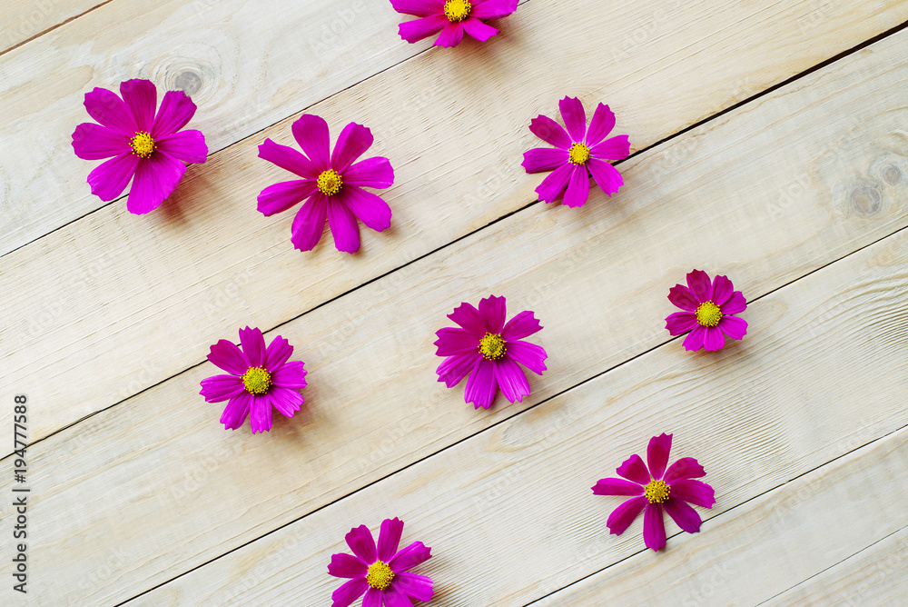 top view of open cosmos plant flowers lay on wooden table