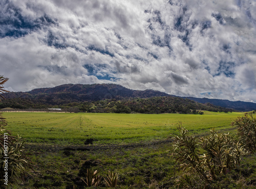 Wallpaper Mural Green field of grass growing in the rural country under cloudy skies nestled against the mountains. Torontodigital.ca