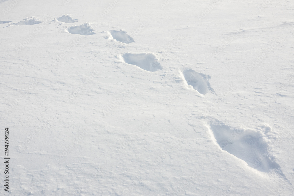 Footprints In Fresh Snow