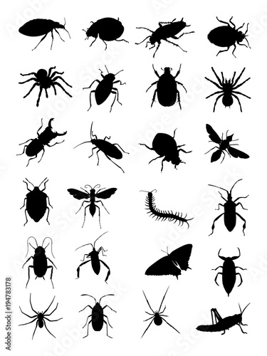 Bugs silhouette. Good use for symbol, logo, web icon, mascot, sign, or any design you want.