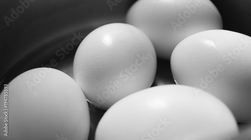 White Eggs Up Close