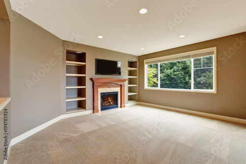 Brown living room interior with fireplace and bookshelves.