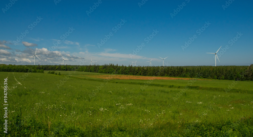 Rural field of wind turbine at Prince Edward Island