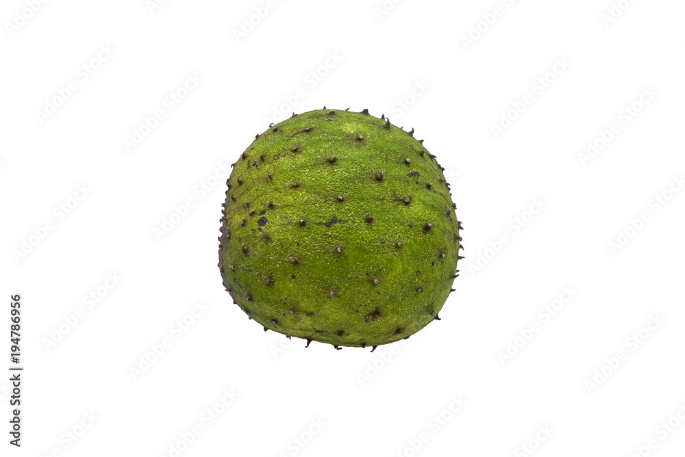 Soursop Custard Apple fruit isolated on white background Soursop Custard Apple fruit isolated on white background