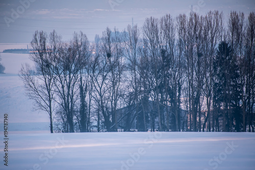 Une ferme en hiver