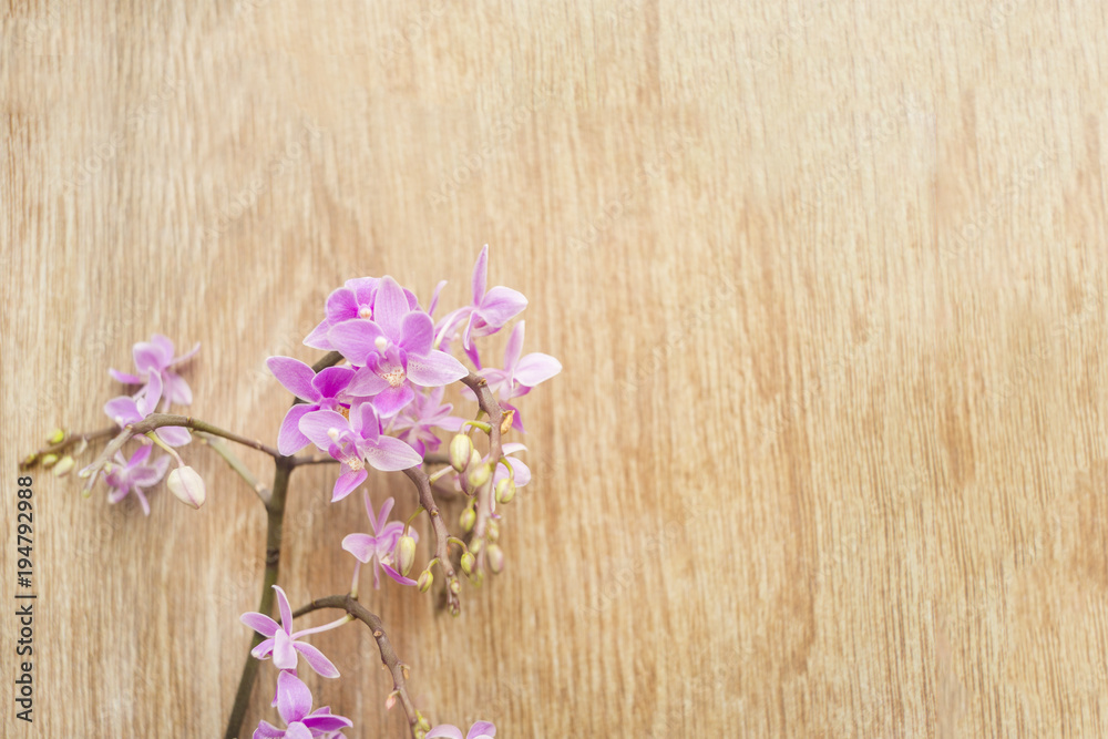 Purple orchid flowers on a wooden table. Space for text