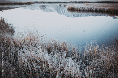 The reflection in the lake of grass in frost. Frost on the shore of a lake or river early in the morning.