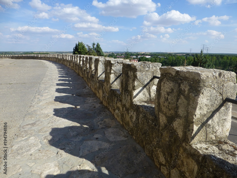 Fototapeta premium Tordesillas,localidad de la provincia de Valladolid en la comunidad autónoma de Castilla y León (España)