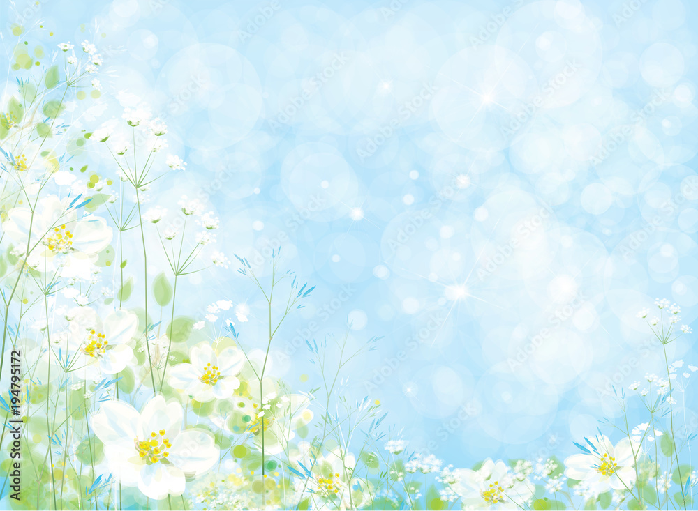 Vector beautiful  floral background, white flowers and green plants on blue bokeh background.