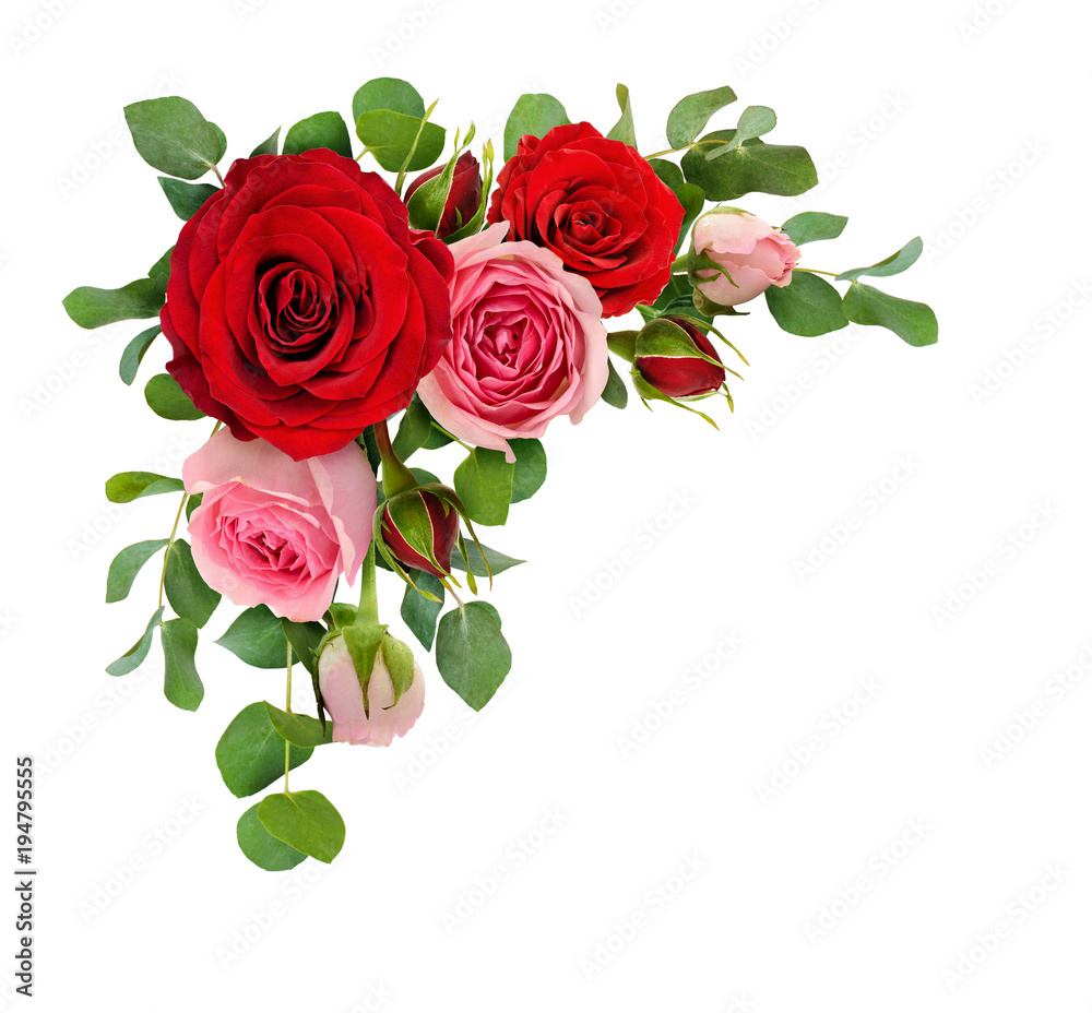 Fototapeta premium Czerwone i różowe kwiaty róży z liśćmi eukaliptusa w układzie narożnym