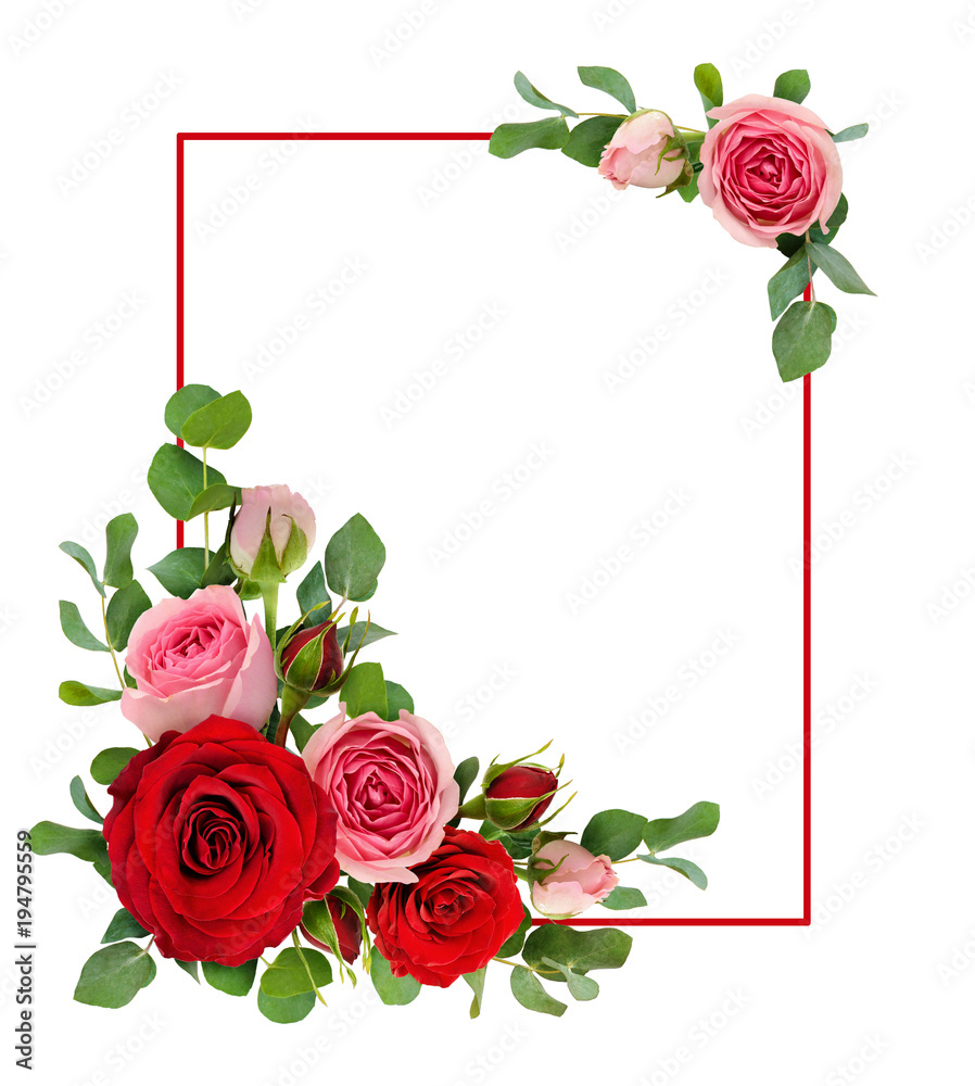 Naklejka premium Czerwone i różowe kwiaty róży z liśćmi eukaliptusa w rogu aranżacji z ramą