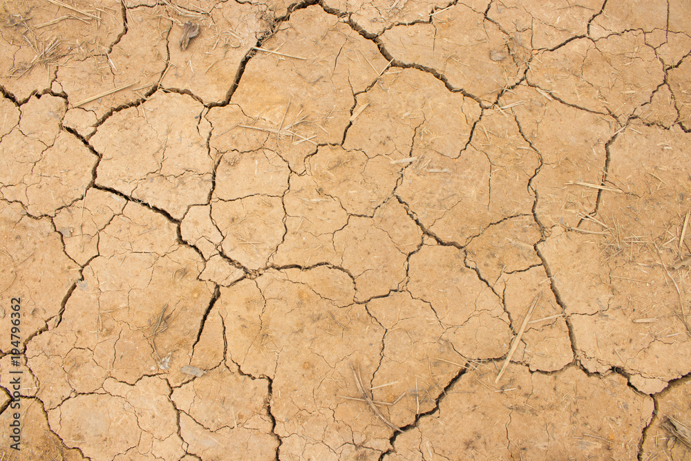 Arid soil background. Desert scene, located in northern of Thailand. Arid soil background. Desert scene, located in northern of Thailand.