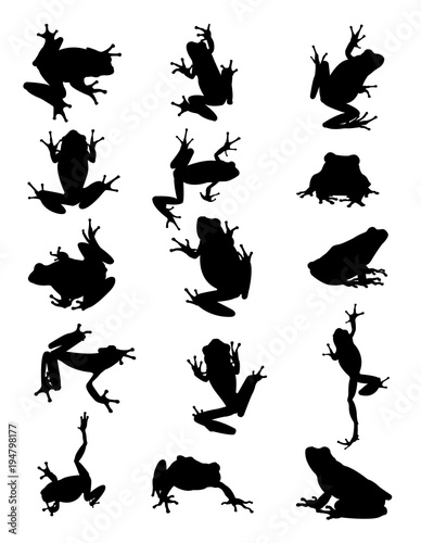 Frog animal silhouette. Good use for symbol, logo, web icon, mascot, sign, or any design you want.