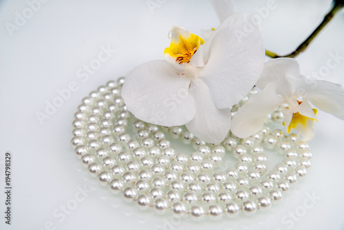  pearl and white orchid on a white glass 