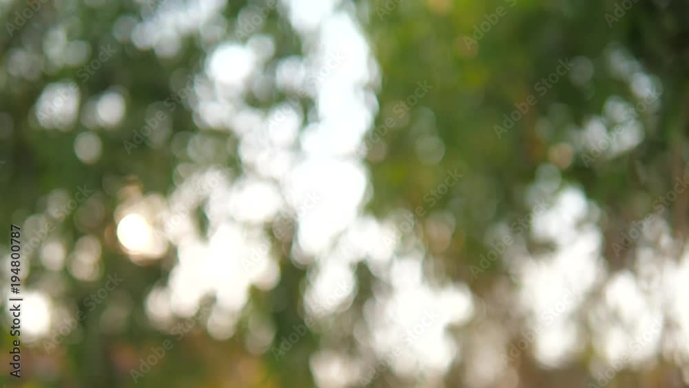Blurred abstract bokeh with sun light Blurred abstract bokeh with sun light