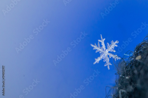 Fototapeta Naklejka Na Ścianę i Meble -  Beautiful detail of a snowflake, a single ice crystal in Paris winter, falls through the Earth's atmosphere as snow. Shining hexagonal crystals shape, used as a symbol of snow or crystal in science