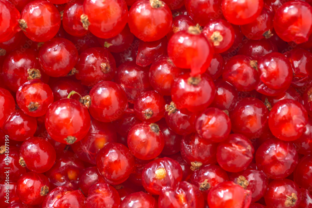 Natural background of berries of a red currant
Natural background of berries of a red currant