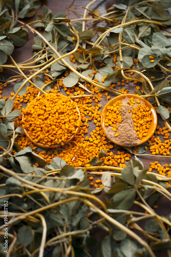 Close up of fresh raw fenugreek with its seed and its powder on a brown wooden surface in  dark Gothic colors.It is beneficial for hair,skin and physical health. photo