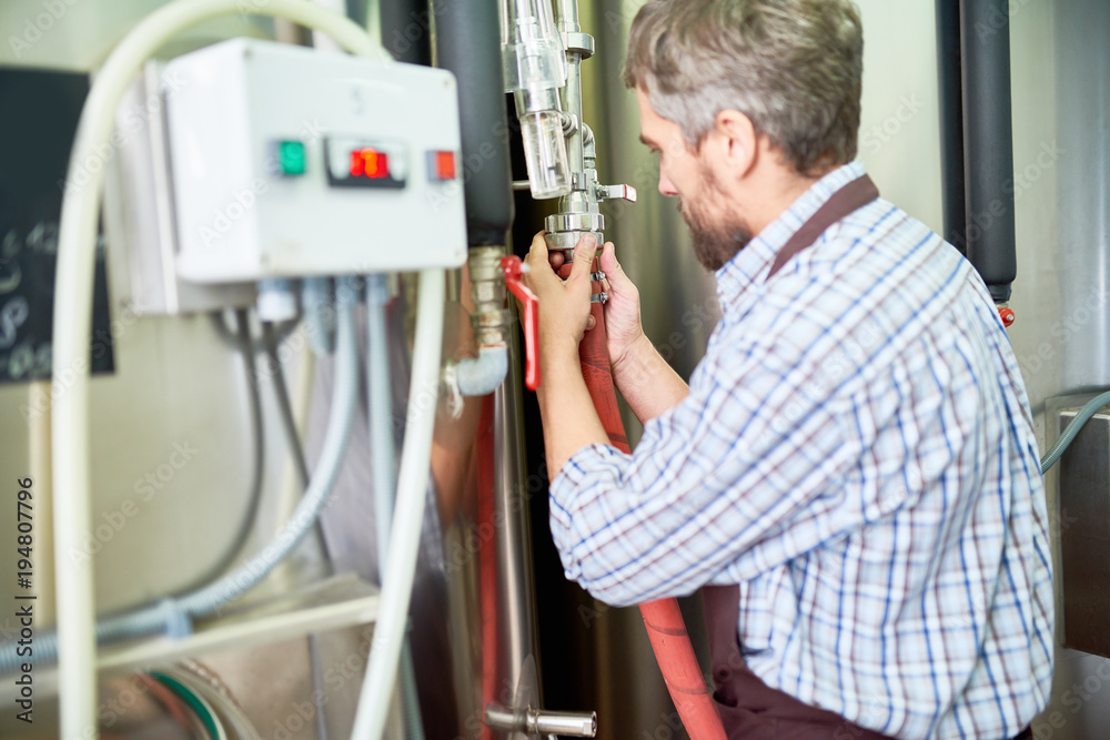 Working process at beer factory: concentrated middle-aged technician wearing apron and checked shirt adjusting equipment, profile view Working process at beer factory: concentrated middle-aged technician wearing apron and checked shirt adjusting equipment, profile view
