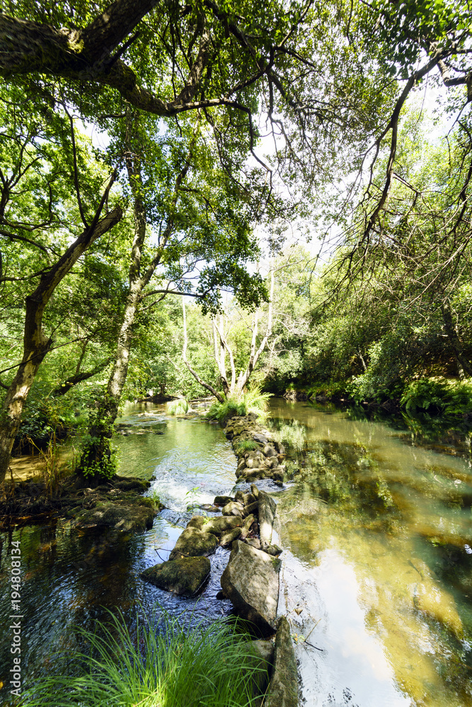 Small natural dam in the mountain river called Anllons. With banks covered with oaks, typically Atlantic forest in Galicia, Spain