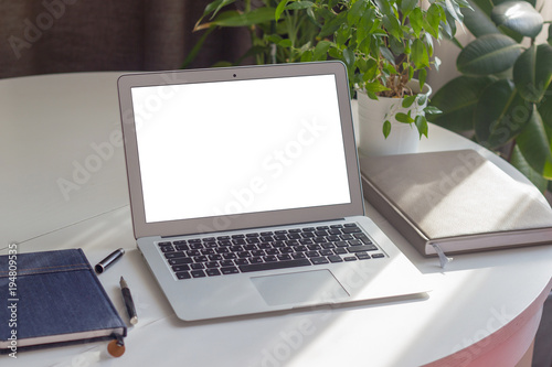 Laptop on a white desk with beautiful plants
