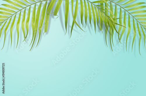 Tropical palm leaves on light blue background. Minimal nature. Summer Styled.  Flat lay.  Image is approximately 5500 x 3600 pixels in size