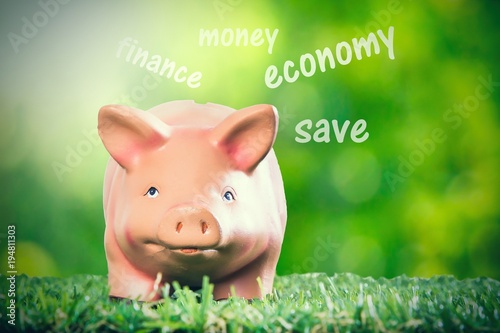 Piggy bank on grass. concept of economy.