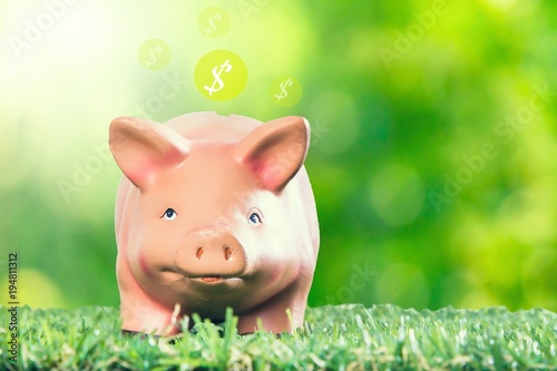 Piggy bank with dollar symbol on grass