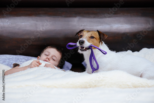 Dog with leash in mouth wakes up his companion to go for a walk